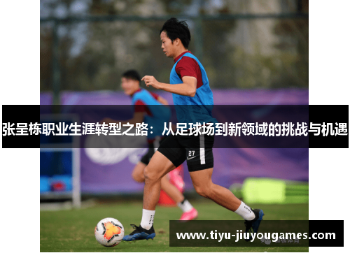 张呈栋职业生涯转型之路:从足球场到新领域的挑战与机遇 张呈栋职业生涯转型之路:从足球场到新领域的挑战与机遇