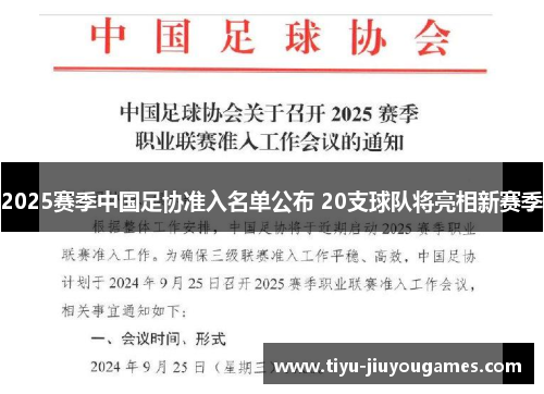 2025赛季中国足协准入名单公布 20支球队将亮相新赛季