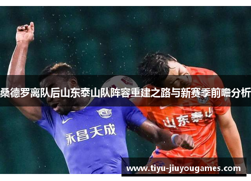 桑德罗离队后山东泰山队阵容重建之路与新赛季前瞻分析