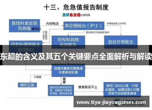 东超的含义及其五个关键要点全面解析与解读
